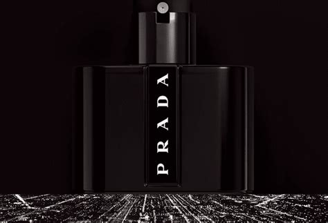 prada black cologne 3.4|prada black cologne review.